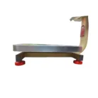 Mega Digital Weight Scale 60 kg (1)